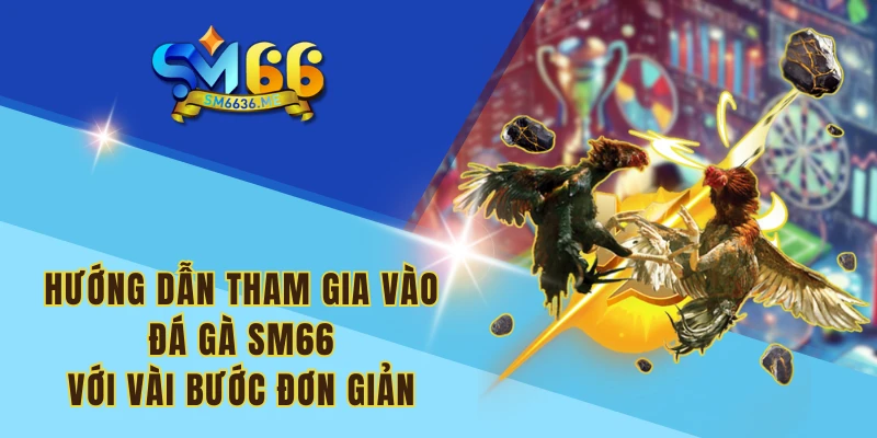 Hướng dẫn tham gia vào đá gà SM66 với vài bước đơn giản