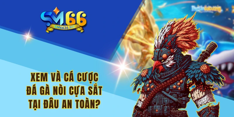 Xem và cá cược đá gà nòi cựa sắt tại đâu an toàn?